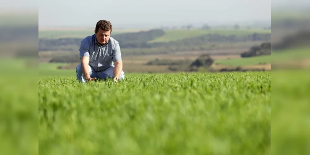A fábrica deverá produzir 240 mil toneladas de malte anualmente,