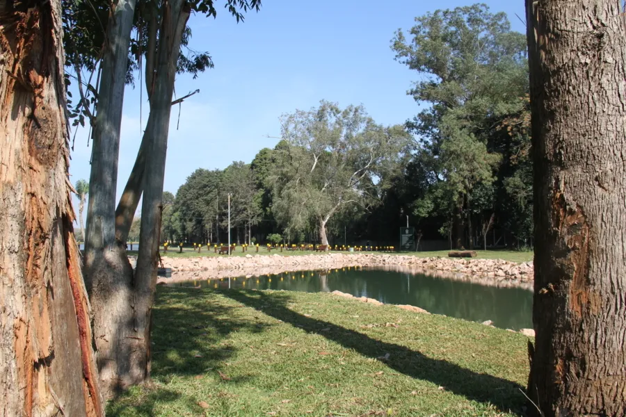 Confira a Coluna Ponta Lagoa dessa semana  (03/07)