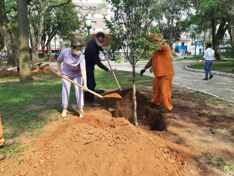 Ponta Grossa ultrapassa 2.200 árvores plantadas em 2021