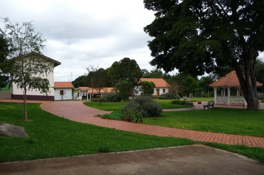 As três colônias holandesas cresceram no ramo da agropecuária em forma de cooperativas