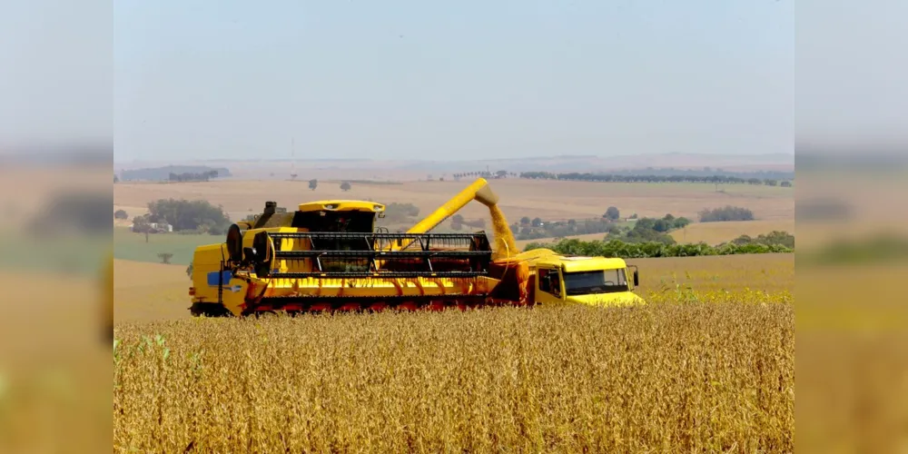 Imagem ilustrativa da imagem Clima irregular atrasa o plantio da soja no Paraná
