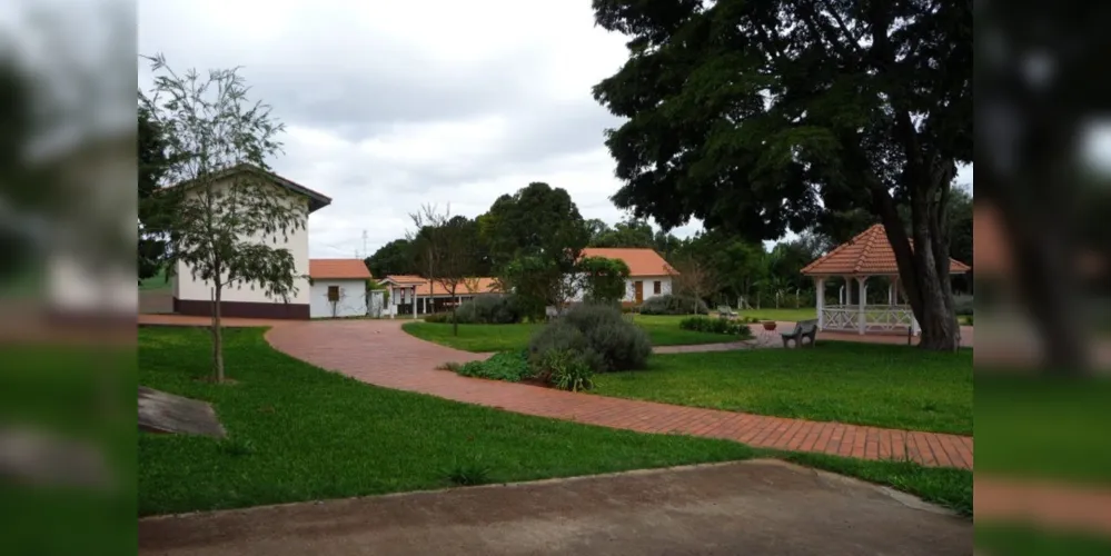 As três colônias holandesas cresceram no ramo da agropecuária em forma de cooperativas