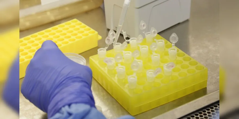 Agendamento será para todos os grupos que se vacinaram até dia 02 de julho com Astrazeneca e Pfizer; haverá 3 mil doses para cada fabricante