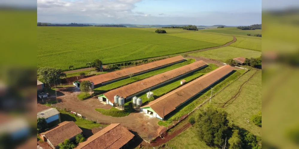 Castro, Carambeí, Tibagi e Piraí do Sul são destaques na produção agropecuária. VBP de 2020 do Paraná fechou em R$ 128,273 bilhões