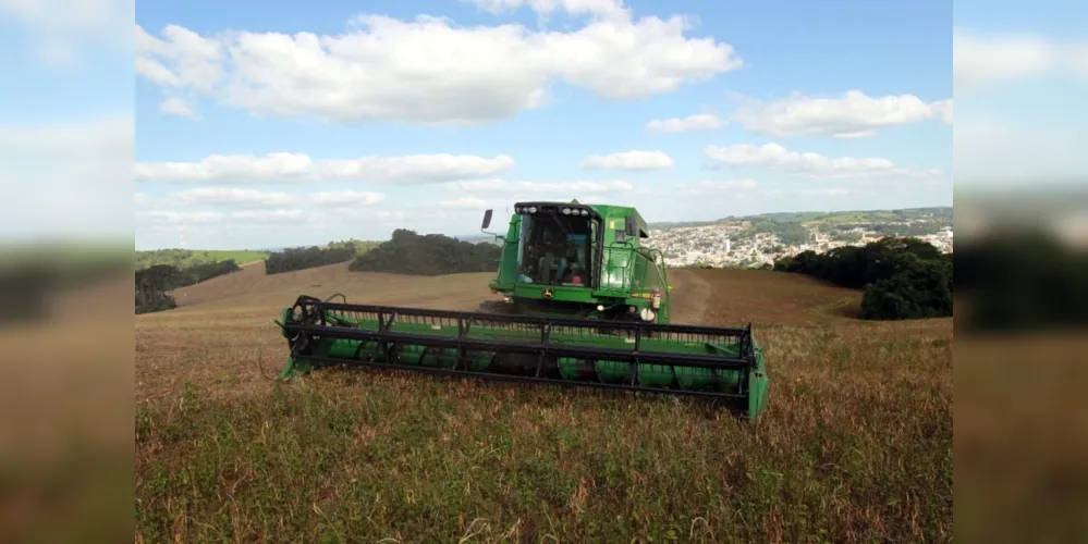 Feijão começou a ser colhido nos municípios do Campos Gerais, com perspectiva de crescimento de 75% em relação a 2021