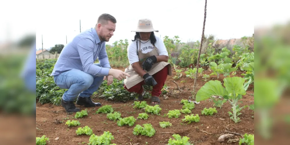 O ‘Horta em Casa’ distribui mudas que variam entre alface, repolho, brócolis, beterraba, couve, alguns condimentos como salsinha, cebolinha e manjericão, além de algumas plantas medicinais.