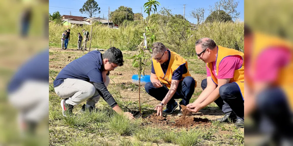 Clube realizou o plantio de árvores frutíferas na cidade; público também pode participar