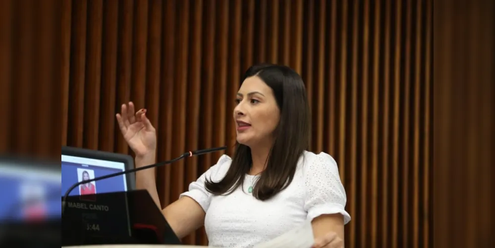 A deputada estadual Mabel Canto (PSDB) se manifestou contra o projeto de lei na tribuna da Assembleia Legislativa do Paraná.