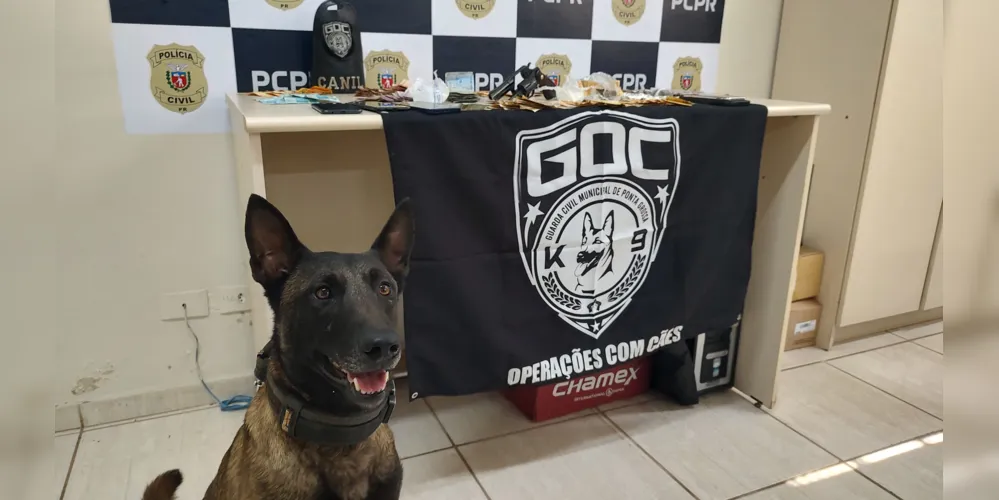 Envolvidos e material apreendido foram levados para a 13ª Subdivisão Policial.
