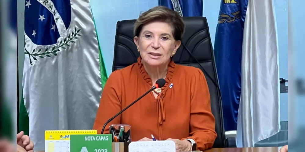 Elizabeth Schimdt buscará a reeleição