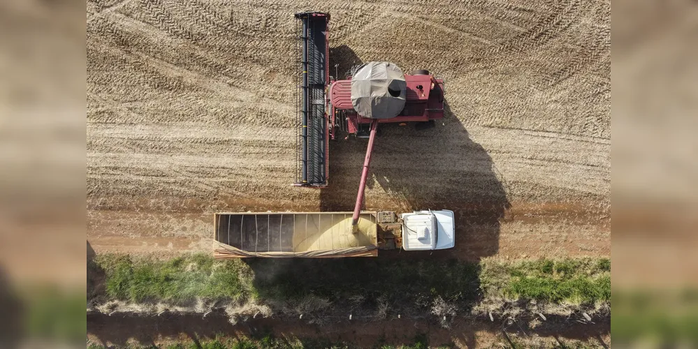A região é uma das maiores produtoras agropecuárias do Paraná