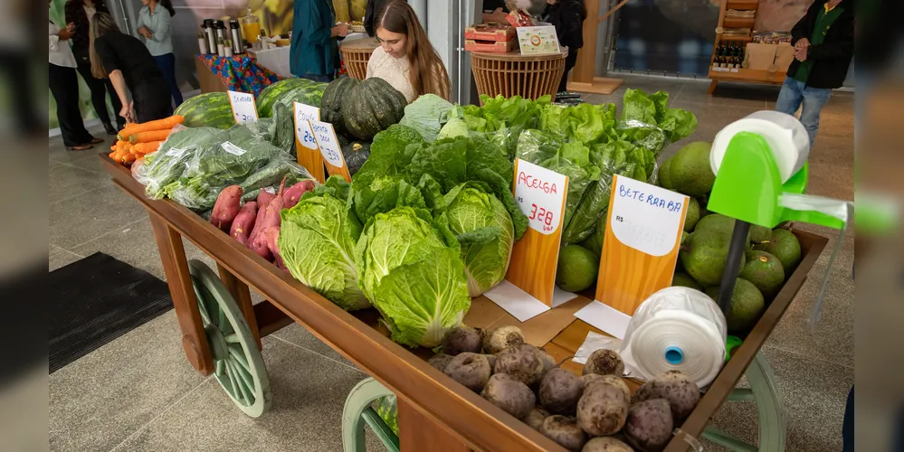 Ambiente acolhedor, com variedade de produtos, desperta a atenção de clientes