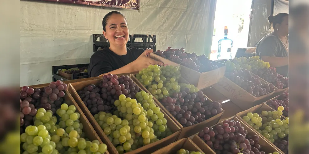 É possível adquirir uvas das variedades Niágara Rosada, Niágara Branca, Bordô e Preta