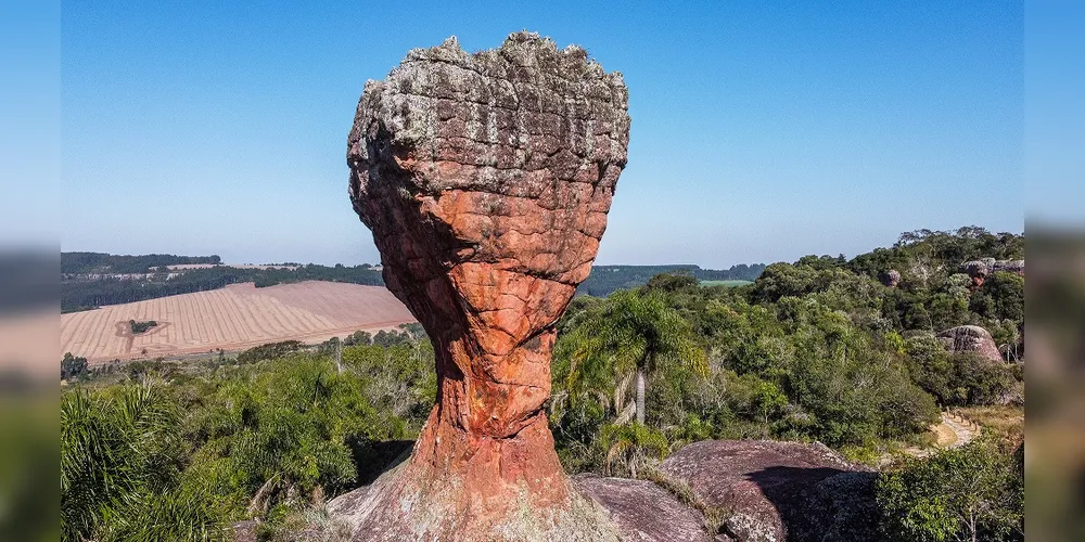 O parque preparou uma experiência única para celebrar o amor materno: nos dias 10 e 11 de maio