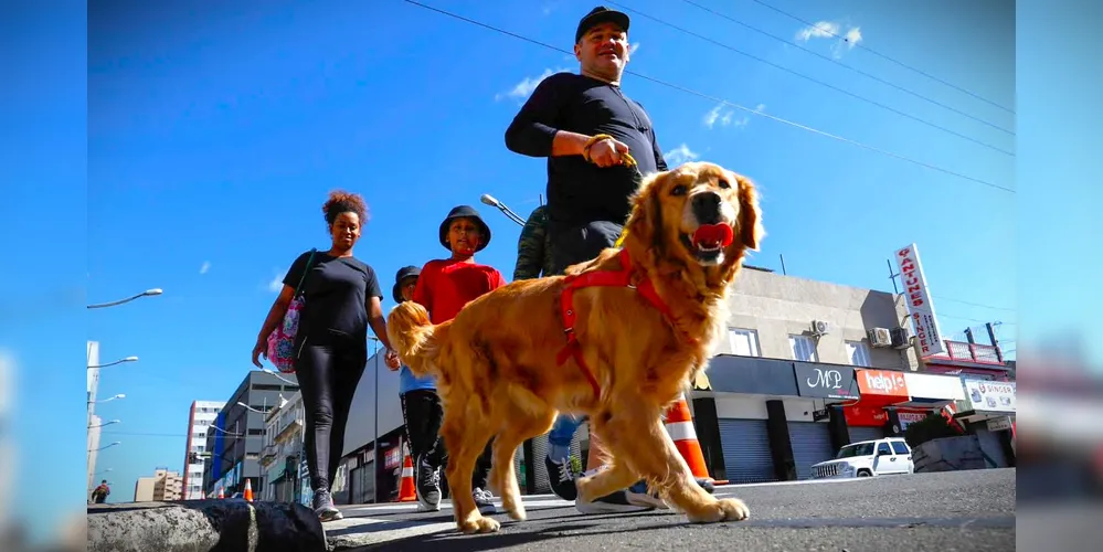 Caminhadas com animais de estimação também serão possíveis