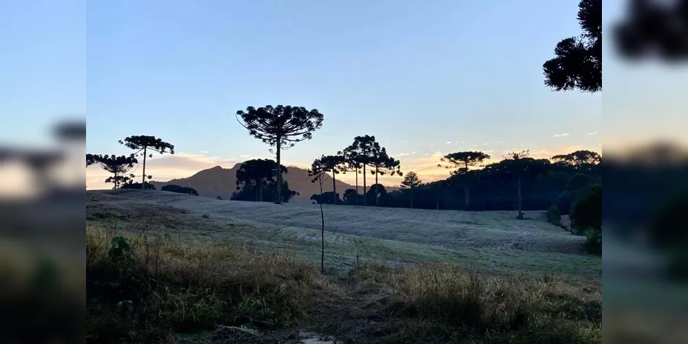 O frio bateu recordes em 2025 no Paraná
