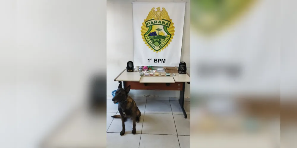 Durante o cumprimento das ordens judiciais, as equipes policiais apreenderam substâncias entorpecentes, quantia em dinheiro e apetrechos