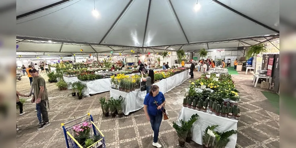 14ª Expo&Flor - Exposição de Flores de Holambra acontece entre 5 e 15 de setembro.