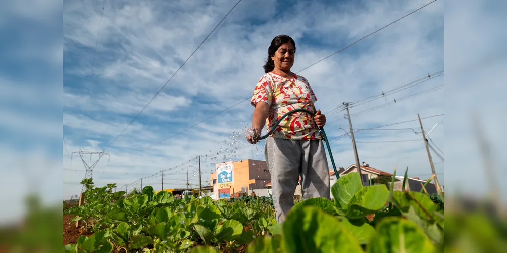 Além de promover segurança alimentar, o cultivo de frutas e verduras também contribui para a saúde física e mental dos moradores