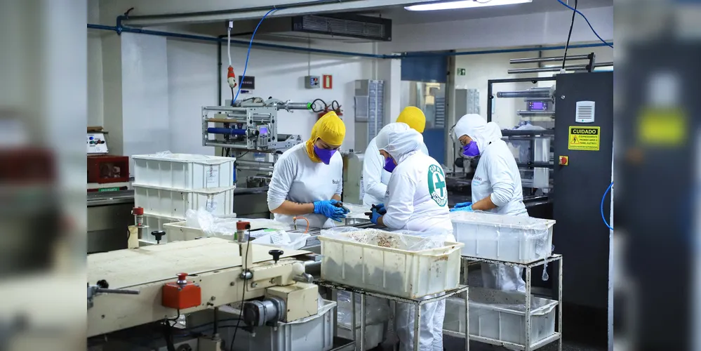 Imagem ilustrativa da imagem PG gera mais de 2,3 mil empregos no primeiro semestre de 2025