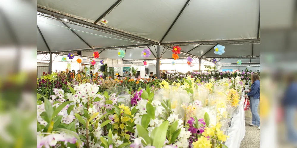 Os visitantes tiveram contato e puderam adquirir as inúmeras variedades de plantas e flores que vieram diretamente de Holambra